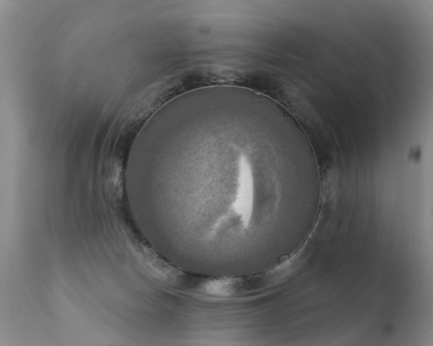 X0000112100178200908111427