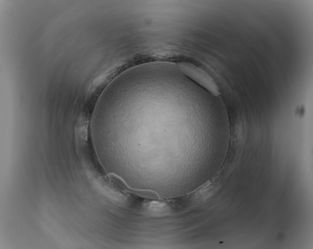 X0000112100180200908111427