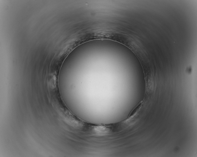 X0000112100183200908111427