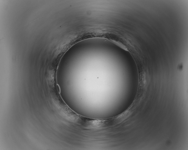 X0000112100184200908111427