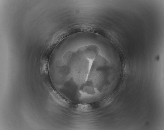 X0000112100185200908111427