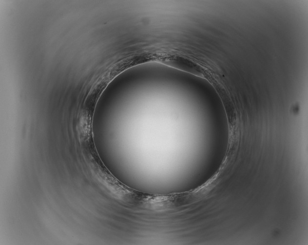 X0000112100186200908111427