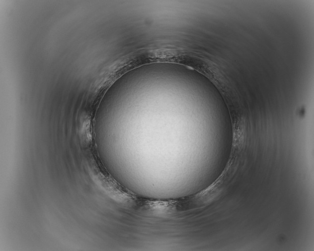 X0000112100187200908111427