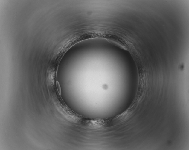 X0000112100188200908111427