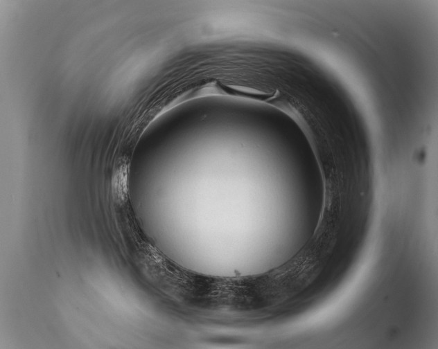 X0000112100190200908111427