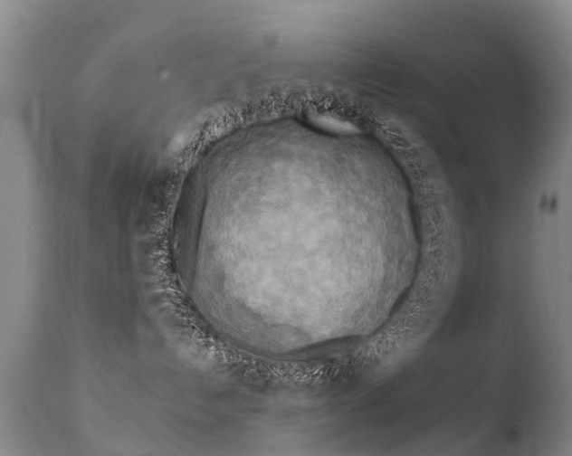X0000112100192200908111427