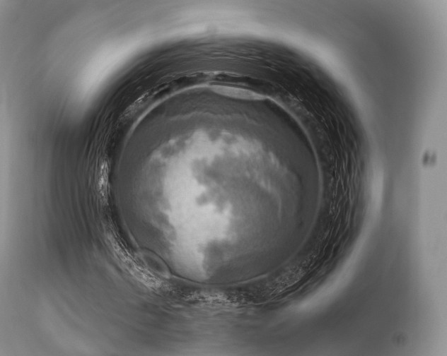 X0000112100194200908111426