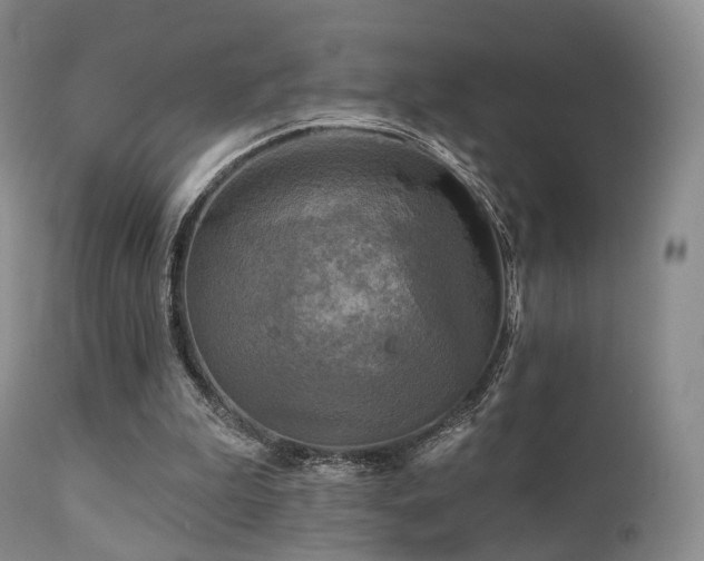 X0000112100199200908111426