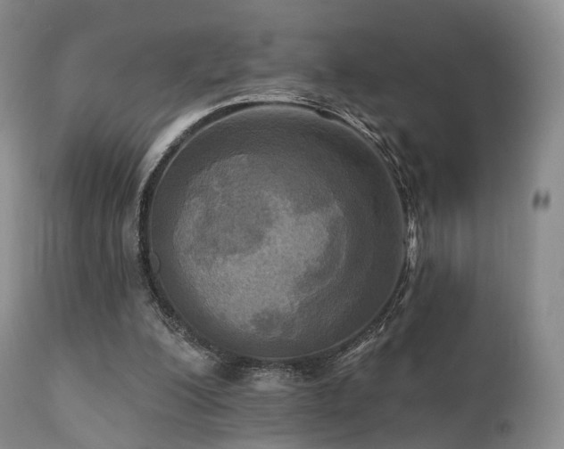 X0000112100200200908111426