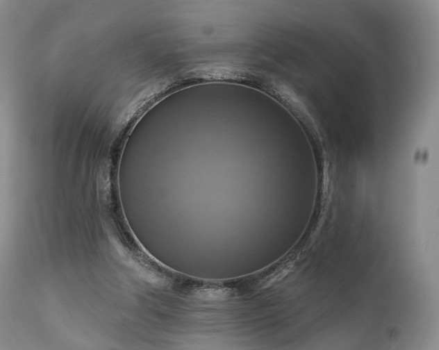 X0000112100202200908111426