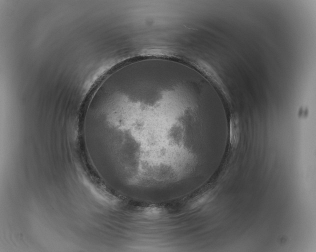 X0000112100204200908111426