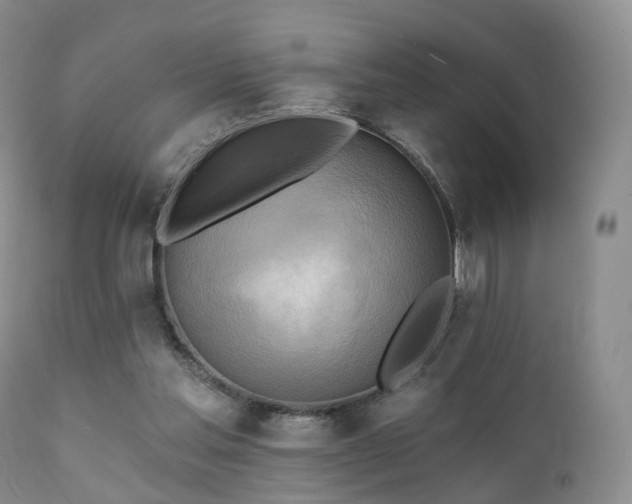 X0000112100205200908111426