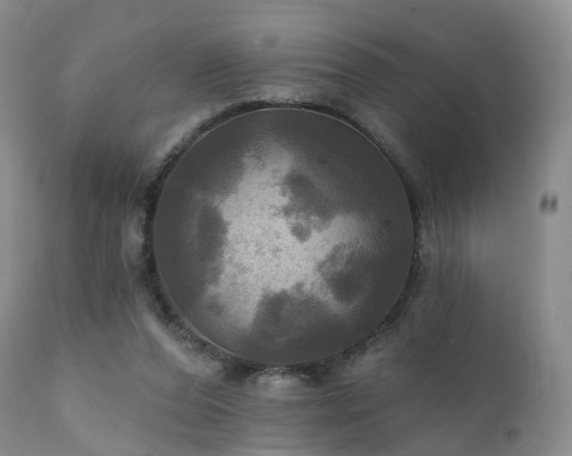 X0000112100208200908111426