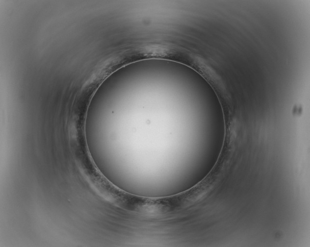 X0000112100209200908111426