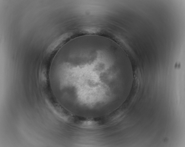 X0000112100212200908111426