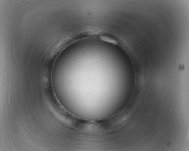 X0000112100215200908111426