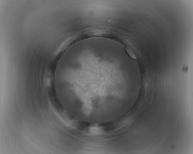 X0000112100216200908111426