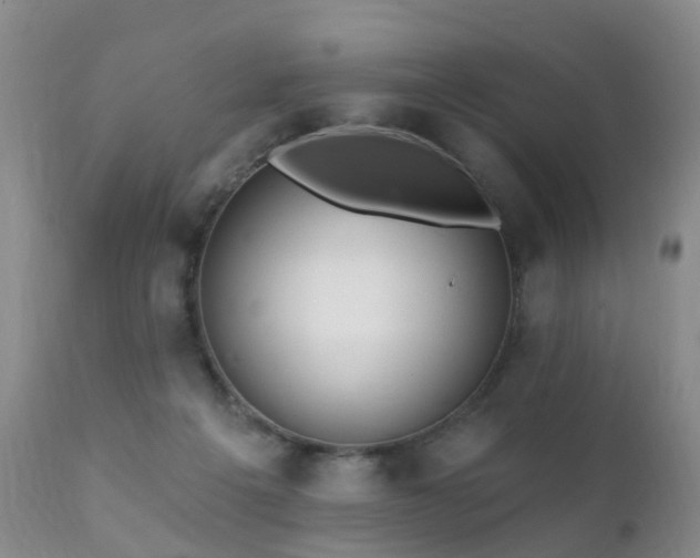X0000112100217200908111426