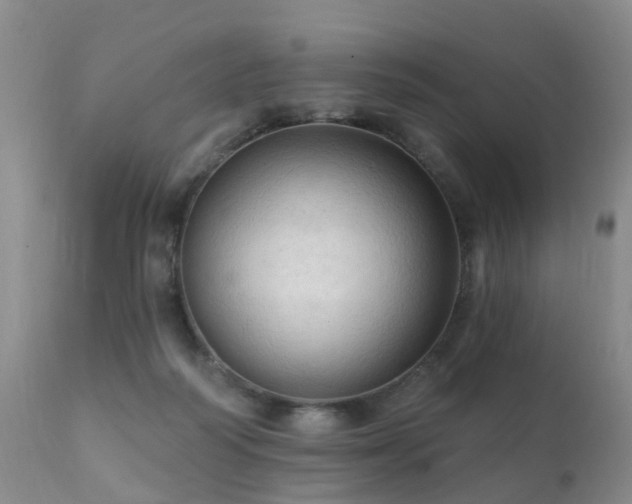 X0000112100218200908111426
