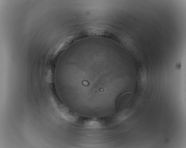 X0000112100224200908111425