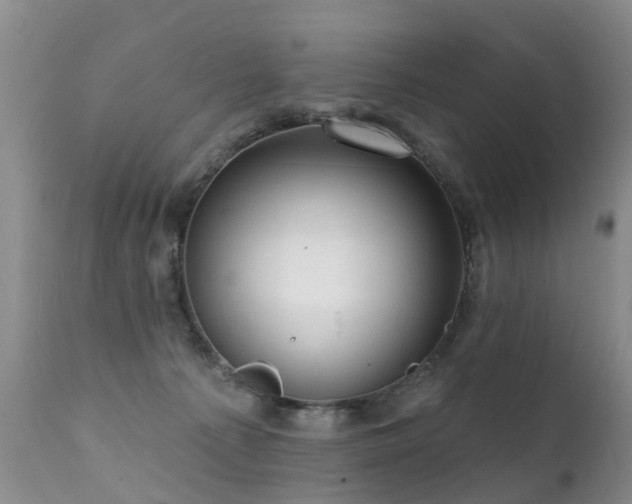 X0000112100225200908111425