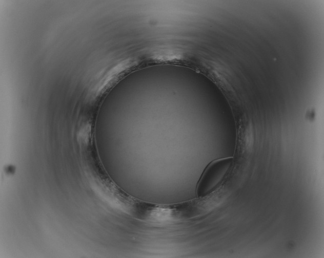 X0000112100227200908111425