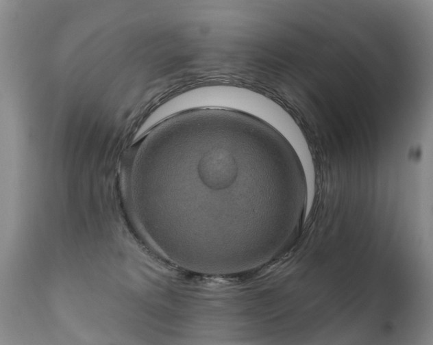 X0000112100229200908111425