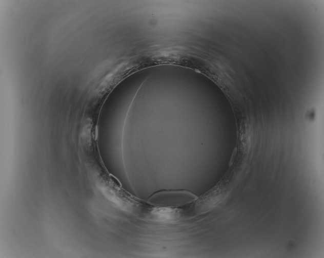 X0000112100231200908111425