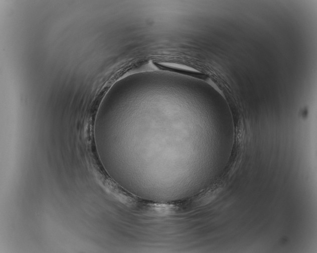 X0000112100233200908111425