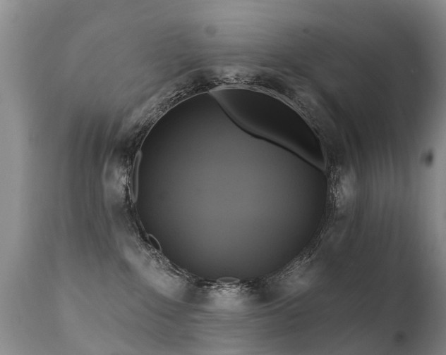 X0000112100235200908111425