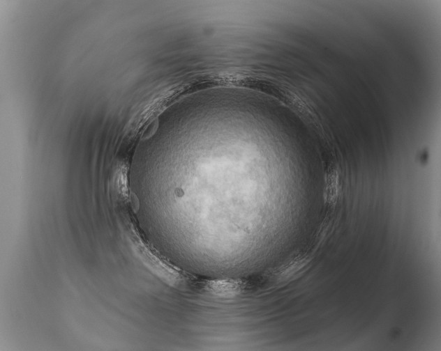 X0000112100238200908111425