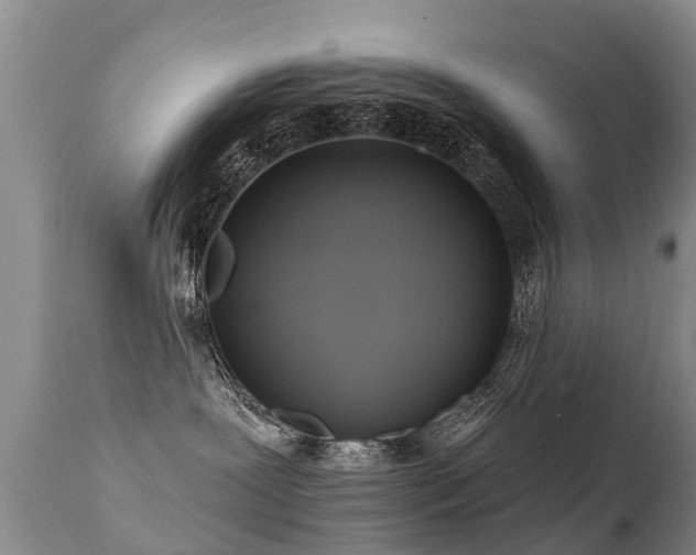 X0000112100239200908111425