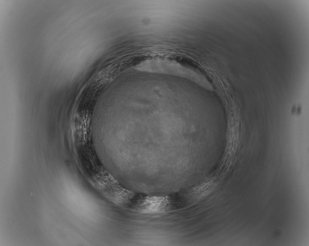 X0000112100240200908111425