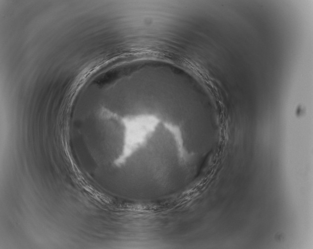 X0000112100241200908111424