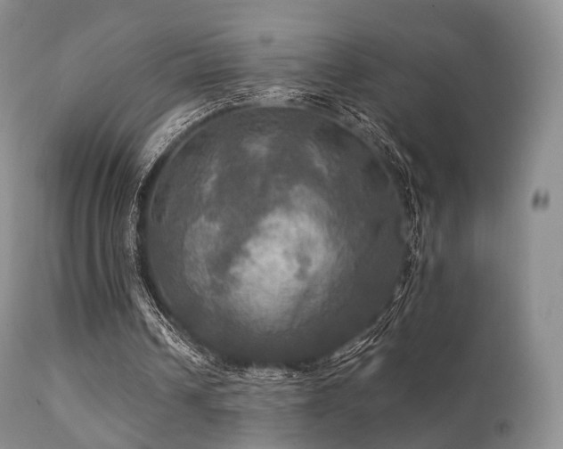 X0000112100242200908111424