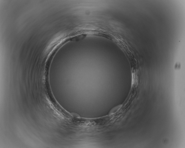 X0000112100243200908111424