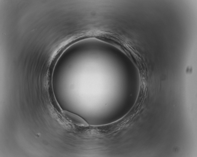 X0000112100244200908111424