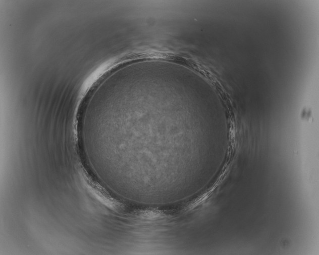 X0000112100246200908111424