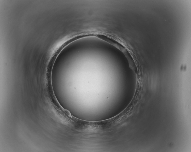X0000112100248200908111424