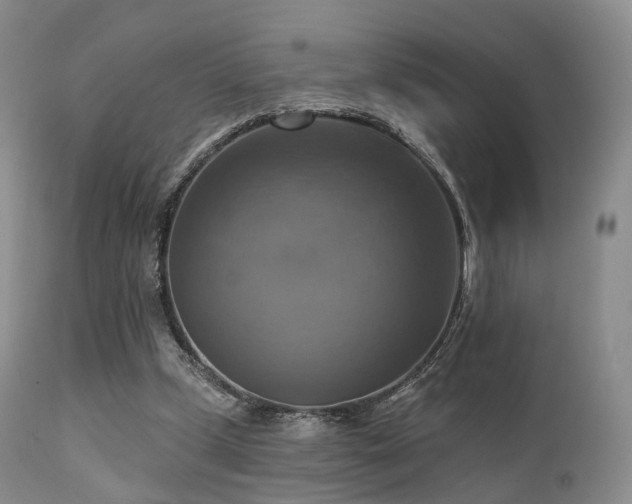 X0000112100249200908111424