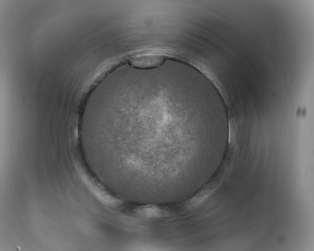 X0000112100253200908111425