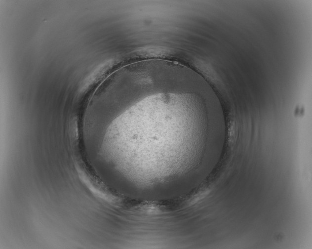 X0000112100254200908111425