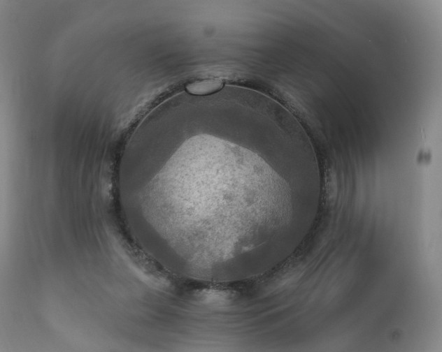 X0000112100255200908111425