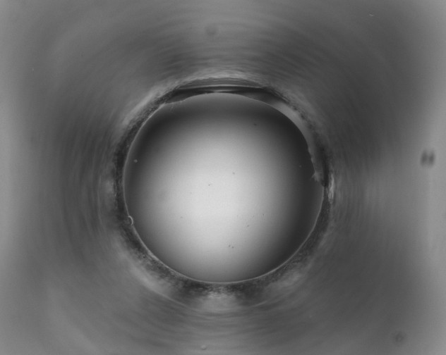 X0000112100256200908111425
