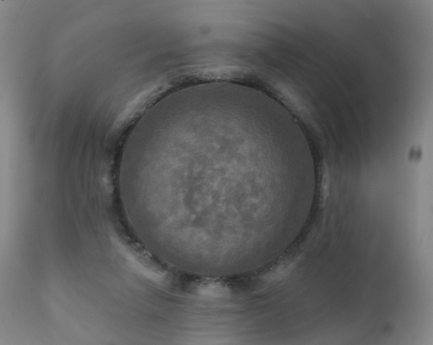 X0000112100258200908111425