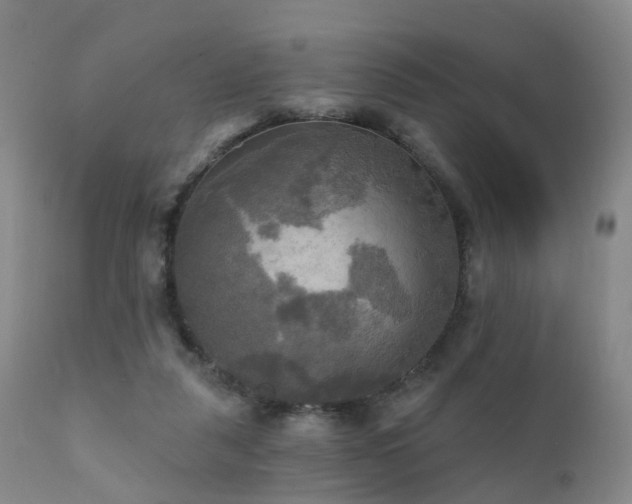 X0000112100259200908111425