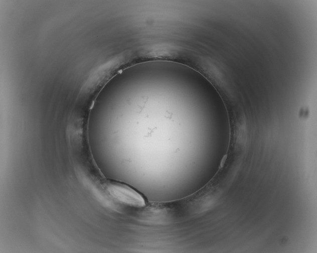 X0000112100260200908111425