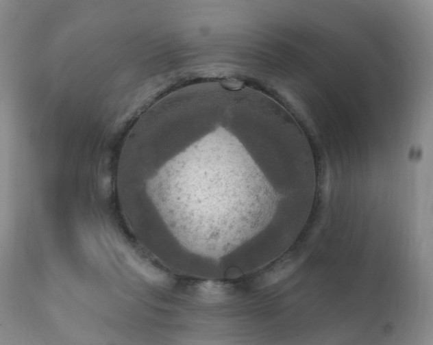 X0000112100261200908111425