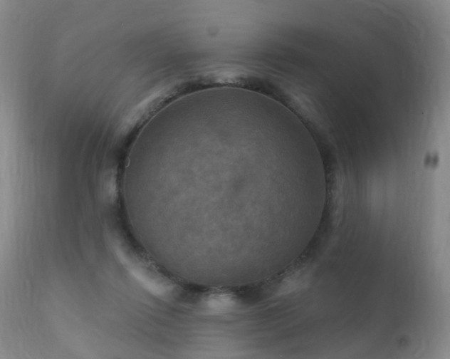 X0000112100262200908111425