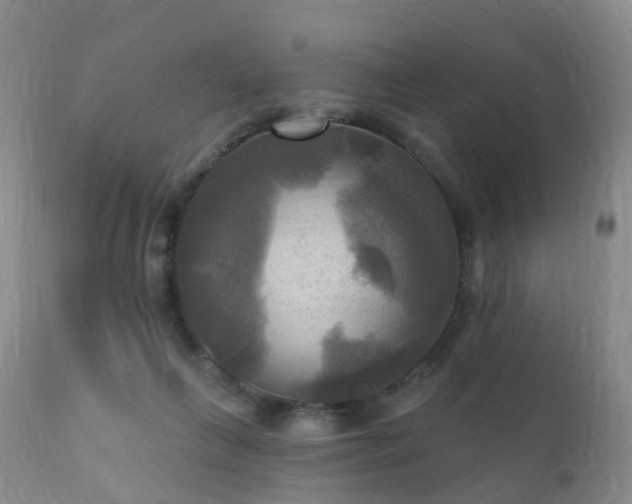 X0000112100263200908111425